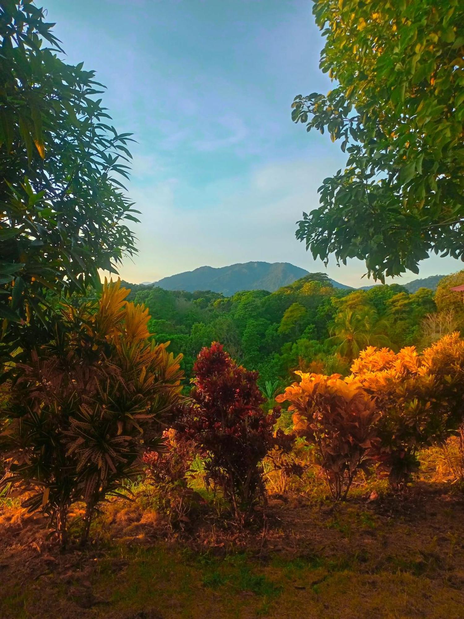 Casa Tolosa Tayrona, Los Cocos La Poza Bagian luar foto